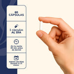 Magnesio L-Treonato Karun Life 60 Cápsulas — Suplemento Nocturno
