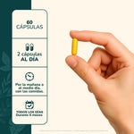 Berberina 500 mg 60 Cápsulas Karün Life | Suplemento Alimenticio