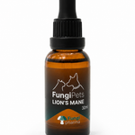 FungiPets Lion's Mane | Melena de León para Mascotas | 30 mL