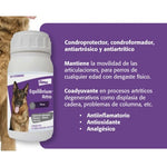 Equilibrium Artro Elanco para Perros 60 Tabletas Masticables | Suplemento para Articulaciones