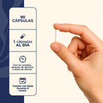 Karün Life Zinc 15 mg 60 Cápsulas | Suplemento Alimentario de Zinc